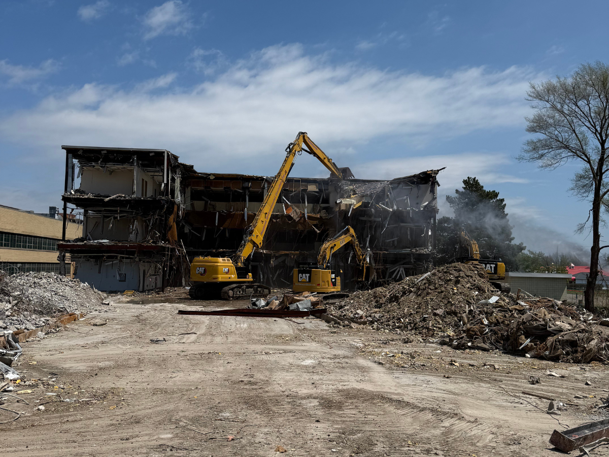 mold remediation process explained for residents