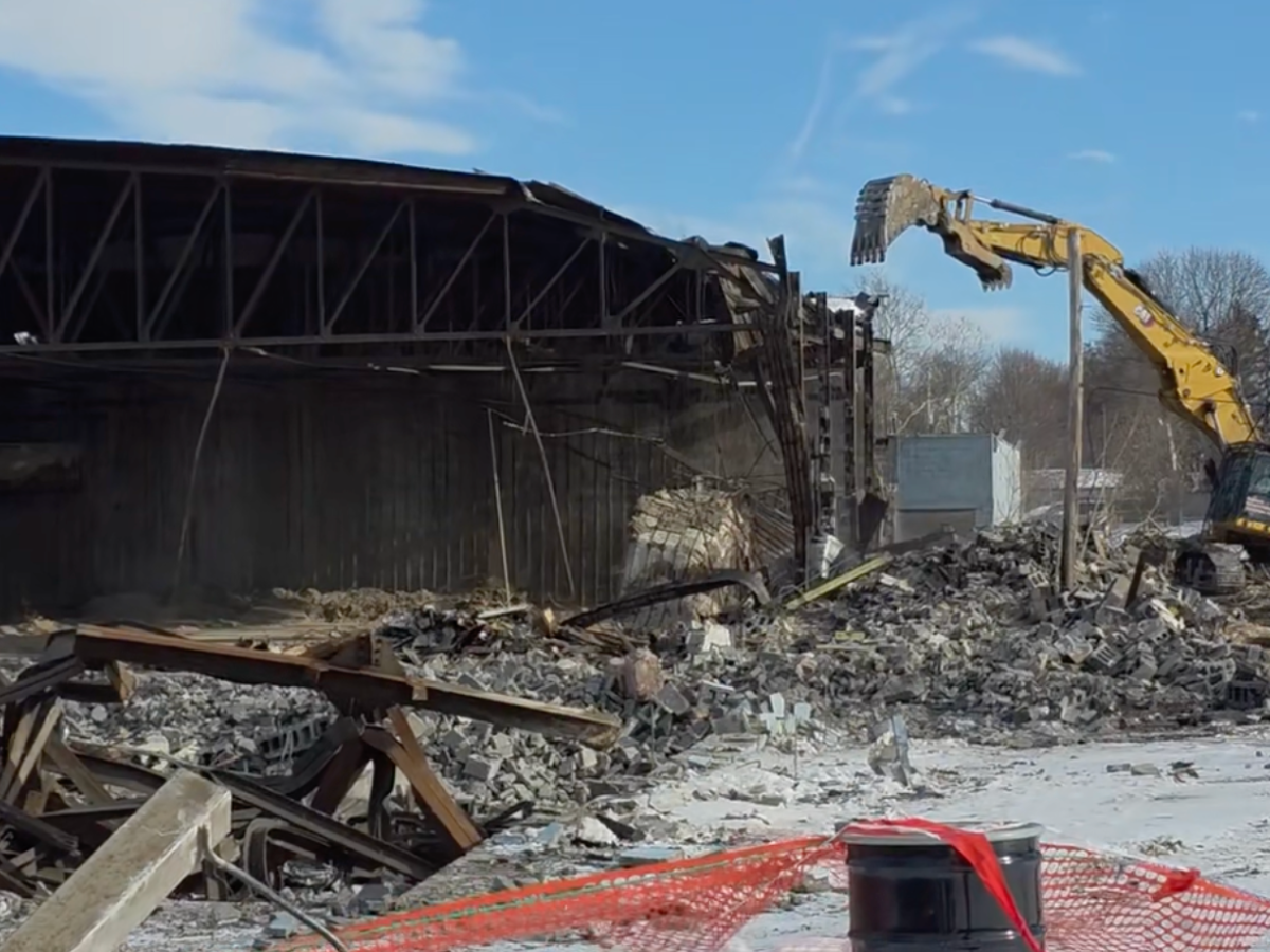 mold remediation vs mold removal