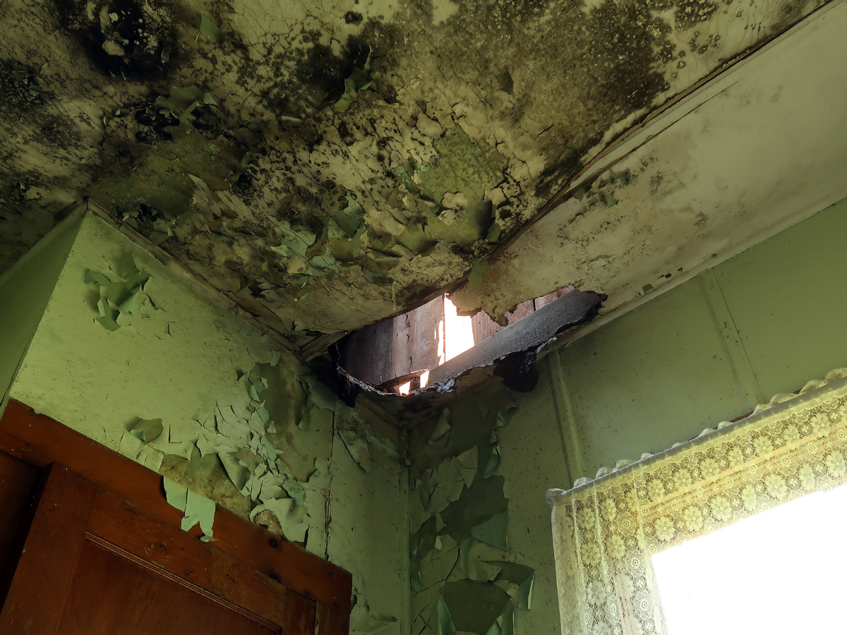 mold damage selective demolition